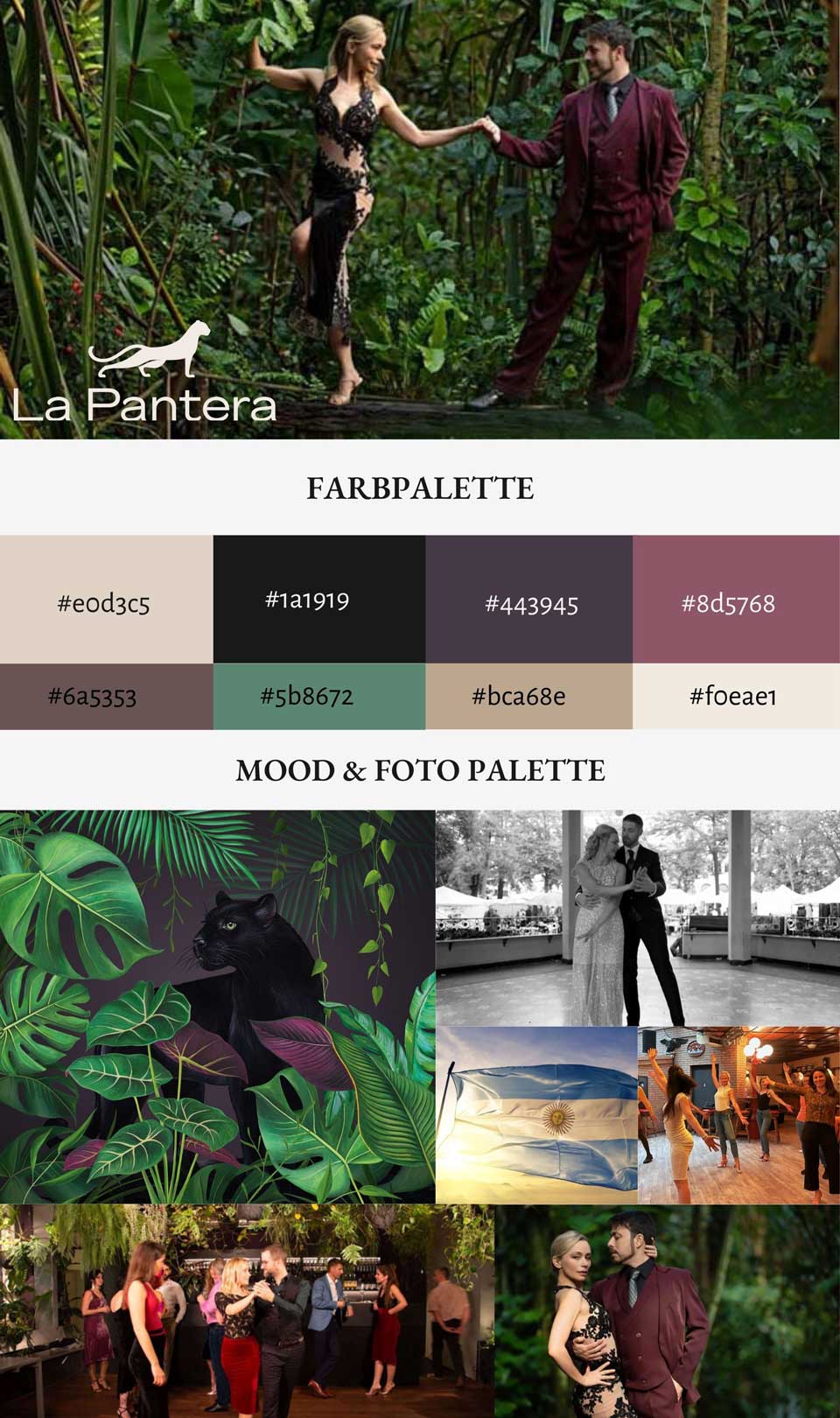 Farb und Moodboard La Pantera Tanzschule Zürich Webseite erstellen Relaunch